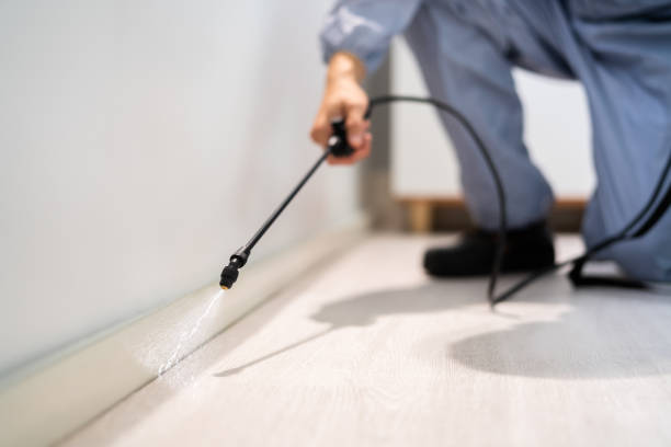 Licensed Pest Control service in Midland, PA - Show Me Pest Control