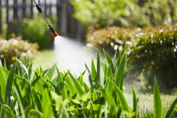 Tamper-Resistant Bait Stations for Rodents in Midland