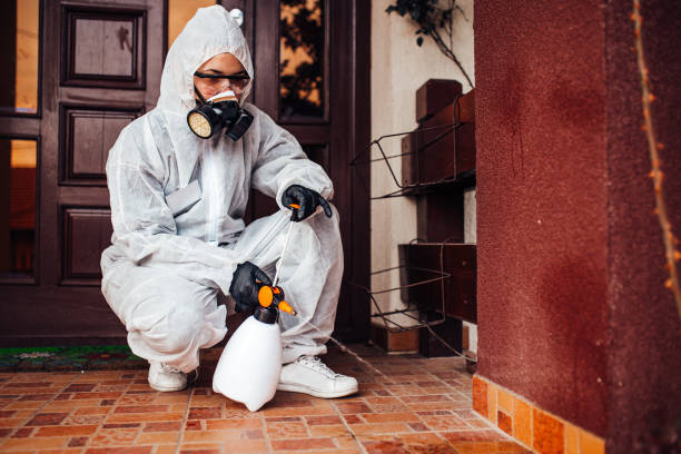 Attic and Crawl Space Rodent Treatment in Midland